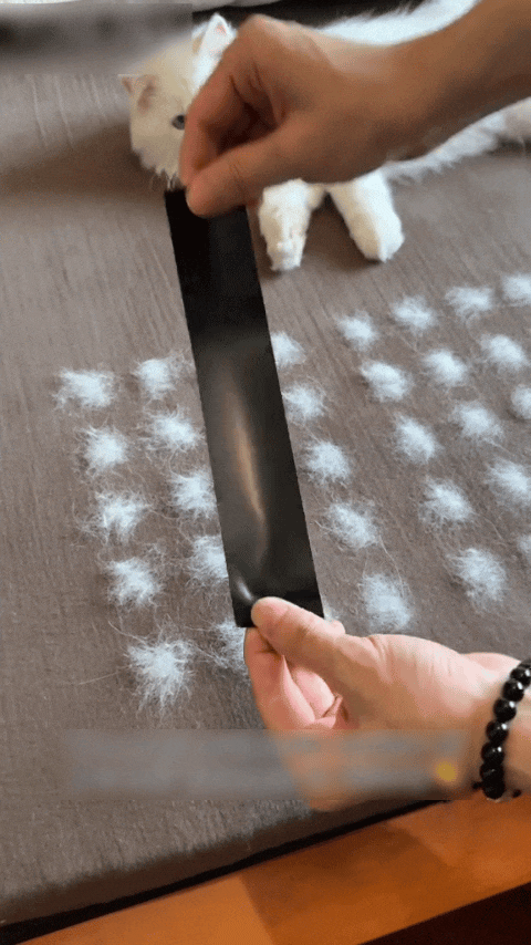 Pet Hair Removal Glove with Dual-Sided Electrostatic Bristles